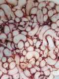 Octopus Carpaccio