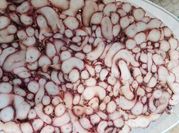 A picture of black pepper cooking oil