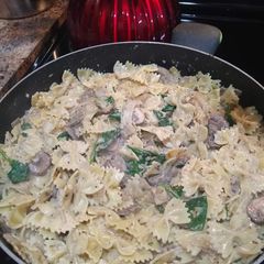 A picture of Lacto vegetarian mushroom pasta.