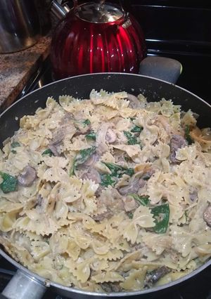 A picture of Lacto vegetarian mushroom pasta.