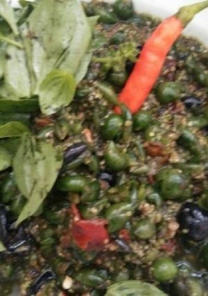 Foto resep Karedok leunca latalata