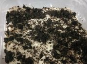 Gambar cheesekut oreo