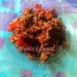 Pare Nenek ala dapur ASIX (Non MSG)