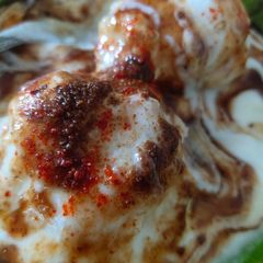 A picture of Dahi wade.