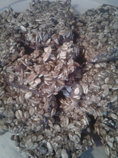 Una foto de Galletitas de avena, chocolate, banana y manzana