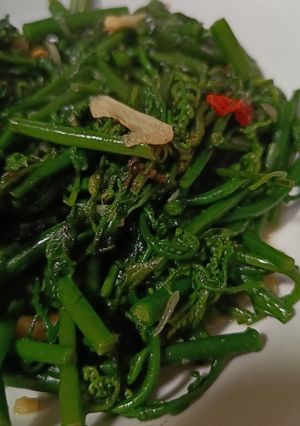 Foto resep Tumis Sayur Pakis