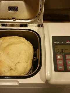 A picture of Bread Machine White Bead.