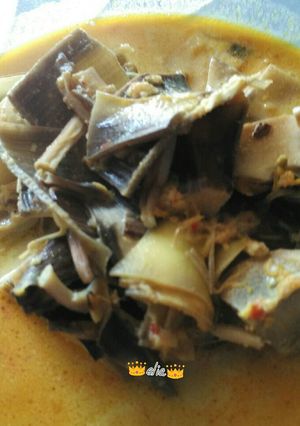 Foto resep Gulai Ontong recook susi agung
