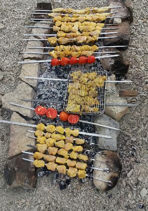 عکسی از دستور طریقه مزه دار کردن جوجه کباب😀