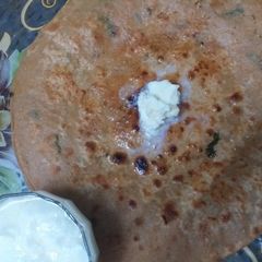 A picture of Moli ka paratha.