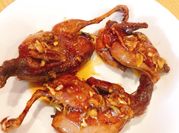 Hình ảnh của chim cút
