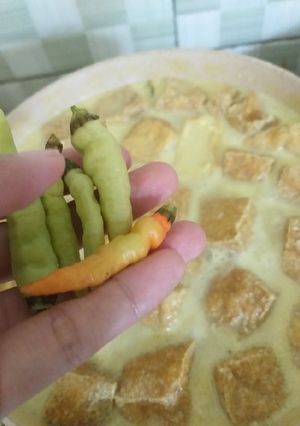 Foto resep Jangan Tahu