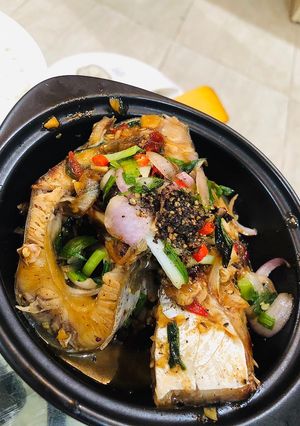 Hình của món Cá Basa Kho Tộ.