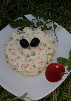 O poză a rețetei Salată de boeuf.