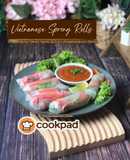 Vietnamese Spring Rolls