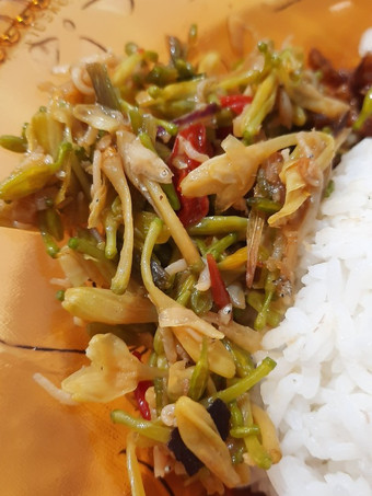 Cara Gampang Membuat Tumis Bunga Pepaya Teri Medan, Enak