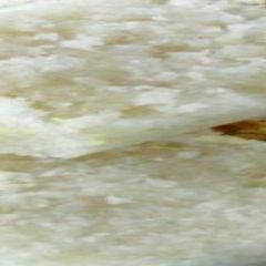 A picture of Coconut Burfi.