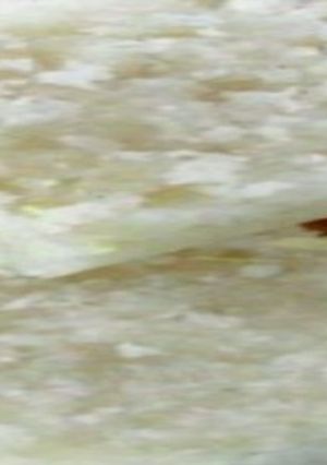 A picture of Coconut Burfi.
