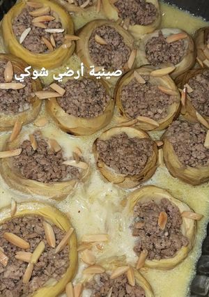 صورة لوصفة الارض الشوكي