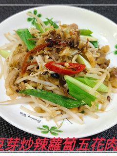 豆芽炒辣蘿蔔五花肉片(簡單料理) 的食譜成品照片
