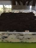 Oreo cheese cake ala Giek’s Kitchen