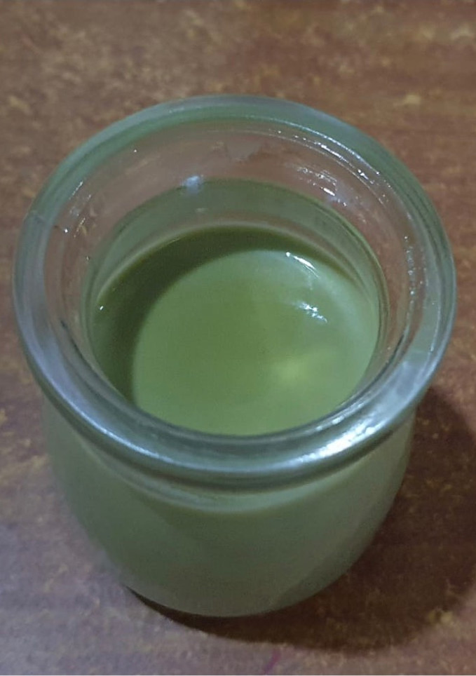 A picture of Matcha cream pudding (Matcha purin).
