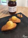 Madeleine amande miel