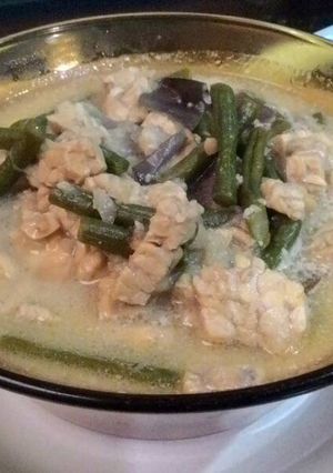 Foto resep Lodeh tempe simple