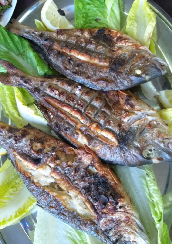 صورة لوصفة سمك أجاج مشوي على الفحم 😍🤗😋