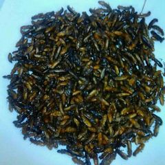 A picture of Roasted Termites.