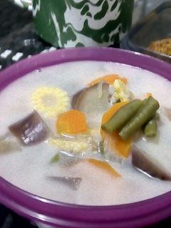 Foto resep Sayur lodeh Praktis