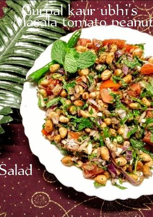 A picture of Masala tomato peanut salad 🥗.