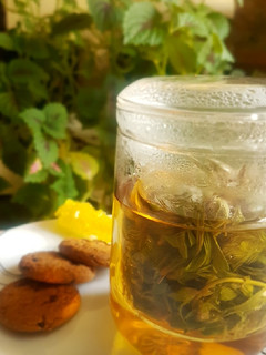 عکسی از دستور چای کوهی