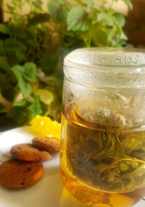 عکسی از دستور چای کوهی