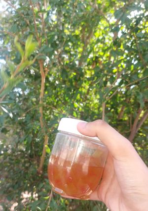 عکسی از دستور مربای پوست هندوانه