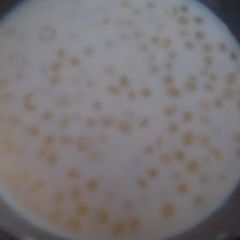 A picture of Sabudana kheer.
