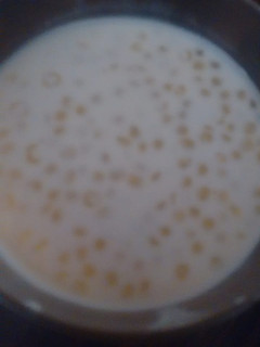 A picture of Sabudana kheer.