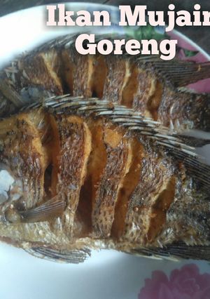 Foto resep Ikan Mujair Goreng