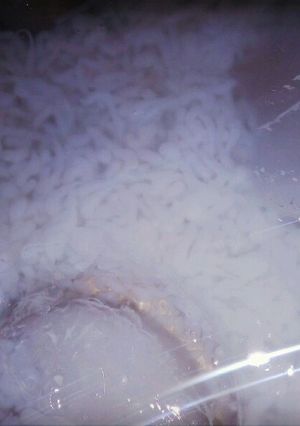 عکسی از دستور فالوده کرمانی