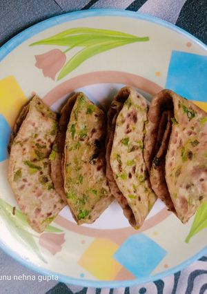 मेथी का पराठा (methi ka paratha recipe in Hindi) रेसिपी मुख्य फोटो