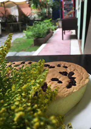 A picture of Raisin Sponge Cake (Hong Kong Style).