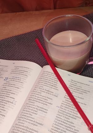 Una foto de Chocomilk Casero 🧋