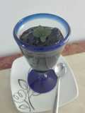 Dulce de zapote negro postre