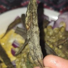 A picture of Keto Chips Okra.