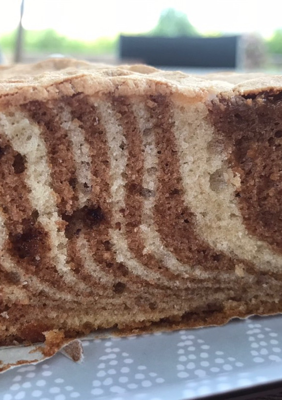 Una foto de Bizcocho de tigre agazapado y cebra escondida, al estilo de Lorraine Pascal