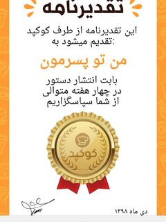 عکسی از دستور تقدیر نامم