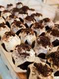 Trufas de Oreo 🖤