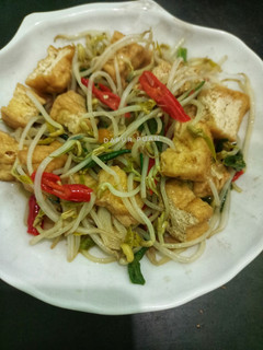 Foto resep Tumis Tahu Tauge