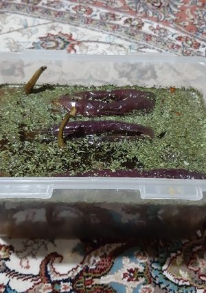 عکسی از دستور ترشی بادمجان
