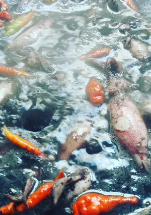 Foto resep Cutam (cumi hitam) / iwak nus bumbu rajang